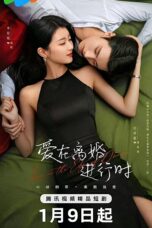 Love in the Edge of Divorce (2025)